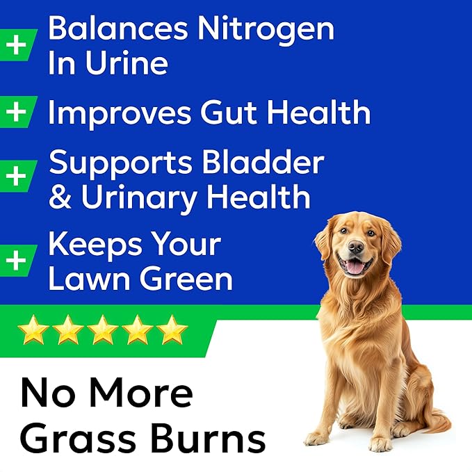 BARK&SPARK Green Grass Chews - Pee Grass Spot Saver Caused by Dog Urine - Urine Neutralizer for Lawn, Gut Health Probiotics & Digestive Enzymes,Lawn Burn from Dog Urine, Grass Burn Spot Chews (240Ct)-PawvioPets