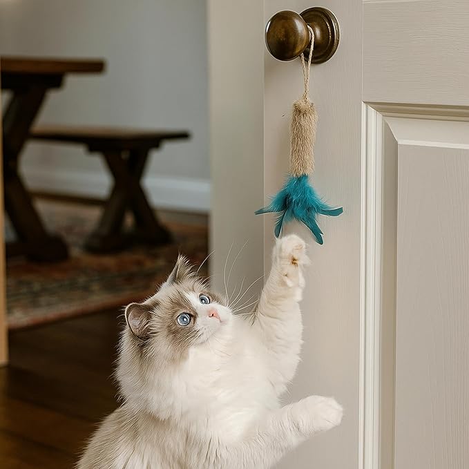 3 Pack Rabbit Fur Catnip Toys with Feathers – Interactive Carrot Cat Toys with Galls Fruit for Indoor Cats and Kittens-PawvioPets