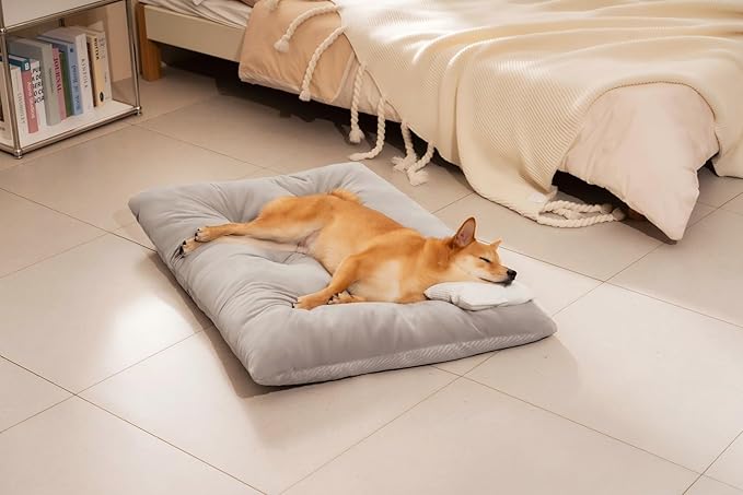 FUNNY FUZZY Washable Dog Bed,Reversible Plush Dog Crate Mat, Soft Fluffy Kennel Pad,Pet Sleeping Mattress for Large,Jumbo,Medium Sized Dogs Breeds,Indoor Cats,41.7" × 28.3", Light Grey-PawvioPets