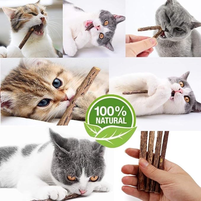 20 PCS Cat Catnip Sticks Natural Matatabi Silvervine Sticks - Cleaning Teeth Molar Tools Kitten Chew Toy Natural Catnip Cats Toy-PawvioPets