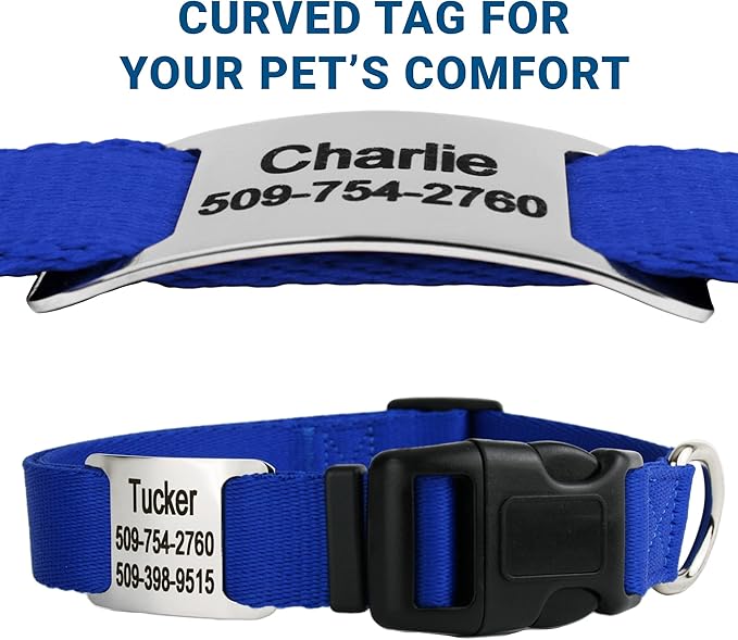 GoTags Personalized Dog Collar with Nameplate, Adjustable Dog Collar with Custom Engraved Slide On Pet ID Tag in Stainless Steel, Silent, No Noise Dog Tag for Large Medium and Small (Blue, Large)-PawvioPets