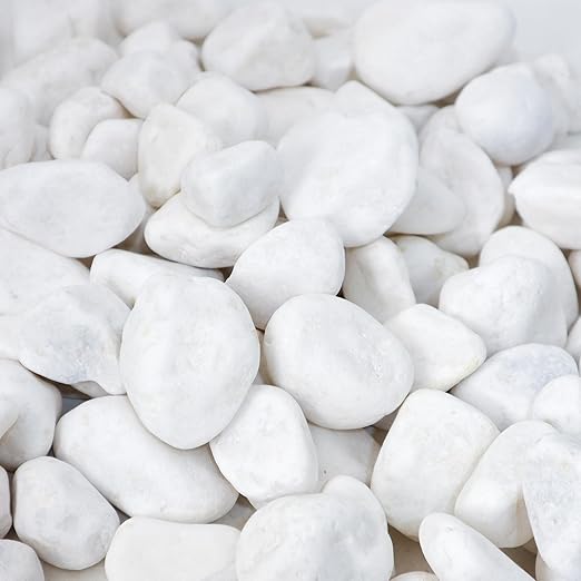 18LB 1"-2" White River Rocks for Plants, Polished Pebbles for Garden Landscaping, Planters, Aquariums, Vase Fillers – Indoor & Outdoor Decor-PawvioPets