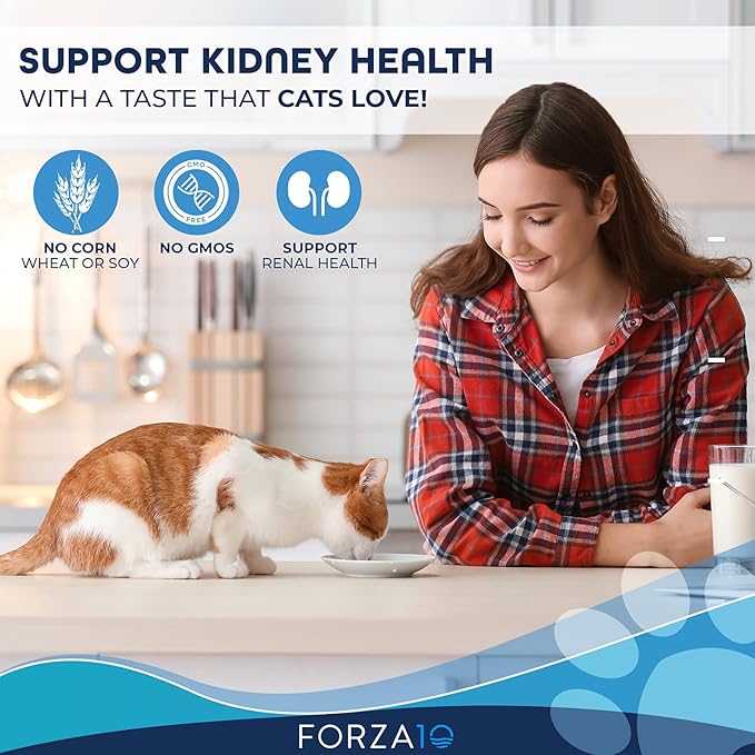 Forza10 Kidney Care Cat Food – Renal Support Wet Cat Food with Lamb, 3.5 oz Cans, 12 Pack – Vet Formulated, Made in Italy-PawvioPets