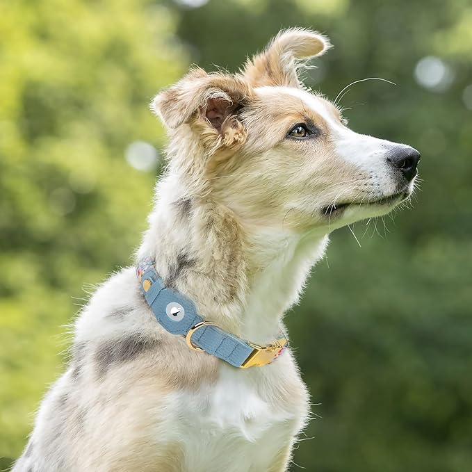 AirTag Dog Collar for Small Medium Large Breed - Adjustable Cute Pattern Dog Collar with Airtag Holder - Soft Leather Tracker GPS Apple Air Tag Pet Collars (Small, 12"-15" Neck Fit, Floral)-PawvioPets