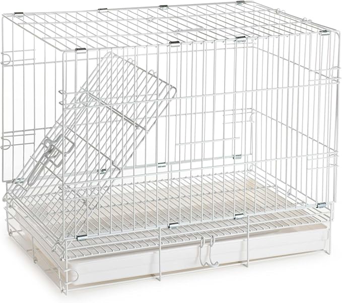 Durable Easy Portable Metal Travel or Veterinary Collapsable Parrot Bird Carrier Beaks Proof Cage with Stainless Steel Feeder Bowls Natural Wooden Perch Stand-PawvioPets
