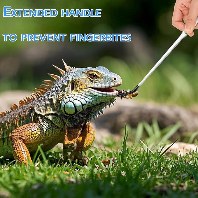 5 Pcs Reptile Feeding Tools Set with Silicone Tips - Extra Long Straight&Curved Tongs, Spoons, Scissors - Stainless Steel Terrarium Feeder Kit for Bearded Dragons, Lizards, Snake, Spiders, Aquarium-PawvioPets
