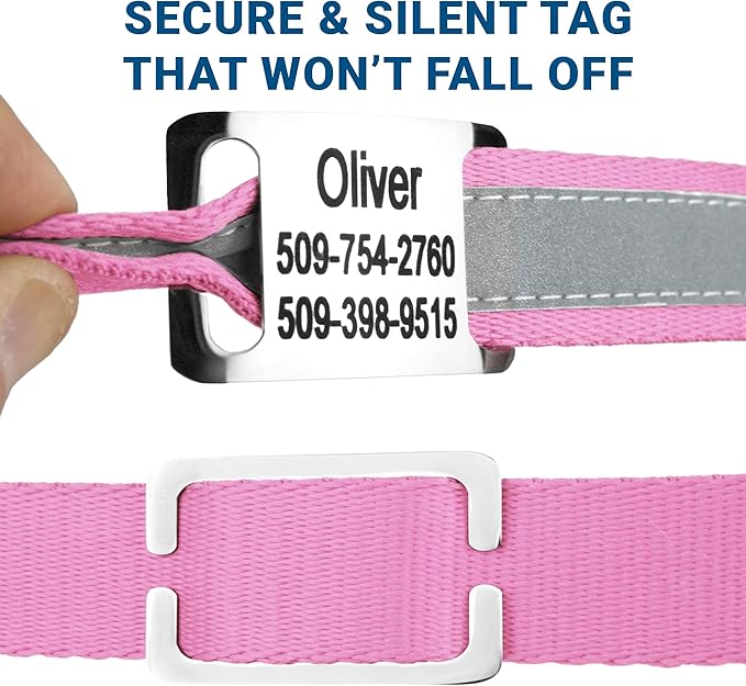 GoTags Reflective Personalized Dog Collar with Nameplate, Adjustable Dog Collar with Custom Engraved Steel Slide On Pet ID Tag, Silent, No Noise Dog Tag for Large Medium or Small (Pink, Small)-PawvioPets