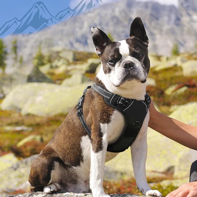 Eagloo Dog Harness Medium Sized Dog, No Pull Service Vest with Reflective Strips and Control Handle, Adjustable and Comfortable for Walking, No Choke Pet Harness with 2 Metal Rings, Black, M-PawvioPets