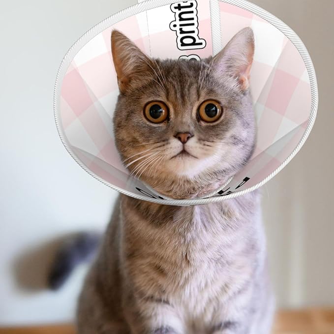 Custom Cats Recovery Suit Kit Lick Prevention Pet Recovery Collar for Wound Care Pet Cone Alternative-PawvioPets