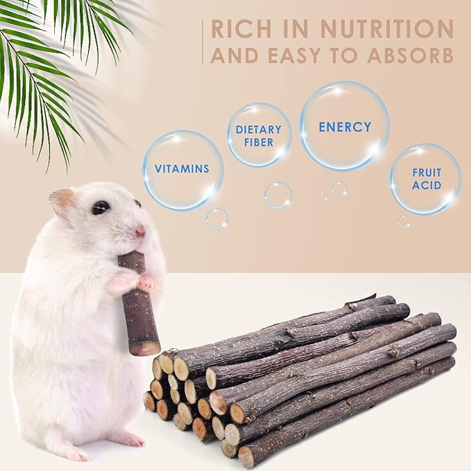 Bissap 120g/4.2oz Apple Sticks for Rabbits, Natural Bunny Chew Toys and Treats for Chinchilla Guinea Pig Hamster Gerbil Small Animals Pet Apple Wood Stick Toys Teeth Grinding-PawvioPets