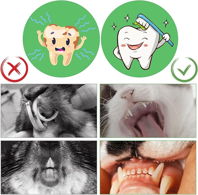 1000g/2.2lb Bamboo Chews for Rabbits, Rabbit Sticks Rabbit Chew Toys Bunny Chew Toys, Molar Treats for Small Animals, Hamsters, Chinchillas, Guinea Pigs, Natural Teeth Grinding Toys-PawvioPets