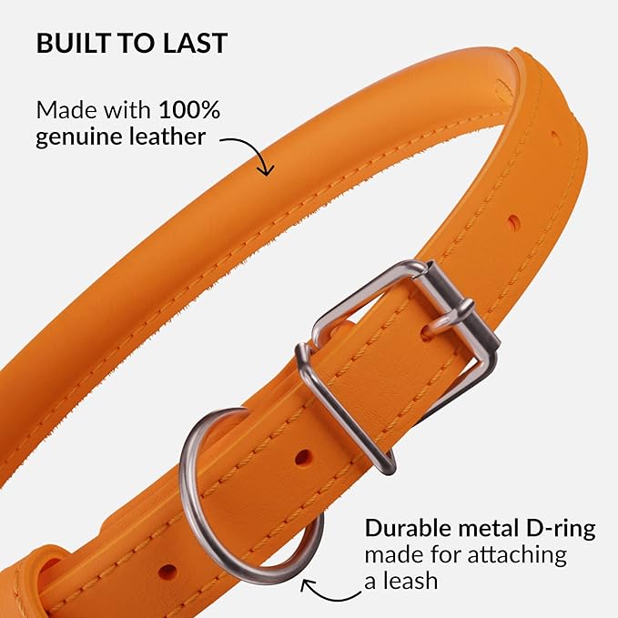 CollarDirect Rolled Leather Dog Collar, Soft Padded Round Puppy Collar, Handmade Genuine Leather Collar Dog Small Large Cat Collars 13 Colors (15-19 Inch, Orange Smooth)-PawvioPets