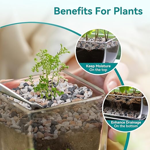 2.5 lbs Small Rocks for Succulents, 1/5 Inch Pebbles for Indoor Plants, Decorative Pea Gravel for Terrarium, Vases, Aquariums, Fish Tank, Drainage Rocks for Potted Plants, Bamboo,Crafts, Cactus-PawvioPets