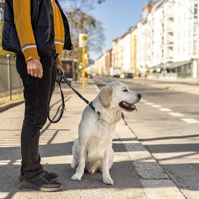 4-6FT Heavy Duty Dog Leashes for Large Dogs, Shock Absorbing Bungee Tactical Leash with 2 Padded Handle, Car Seatbelt and Metal Carabiner Clip, Strong No Pull Dog Leash for Medium-PawvioPets