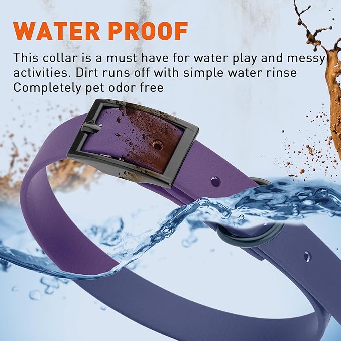Dogline Biothane Waterproof Dog Collar Strong Coated Nylon Webbing with Black Hardware Odor- Proof for Easy Care Easy to Clean High Performance Fits Small Medium or Large Dogs, Violet Purple-PawvioPets
