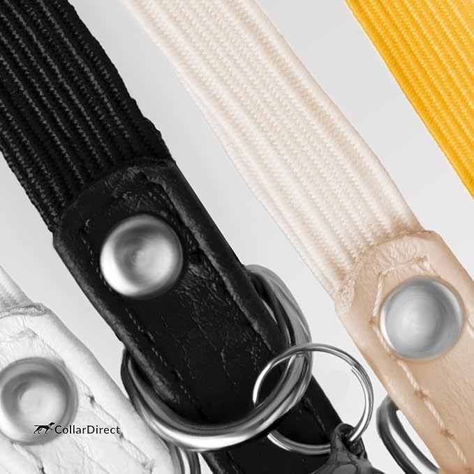 CollarDirect Leather Cat Collar with Removable Bell – Safety Kitten Collar with Elastic Strap (Yellow, 15 - 18 cm)-PawvioPets