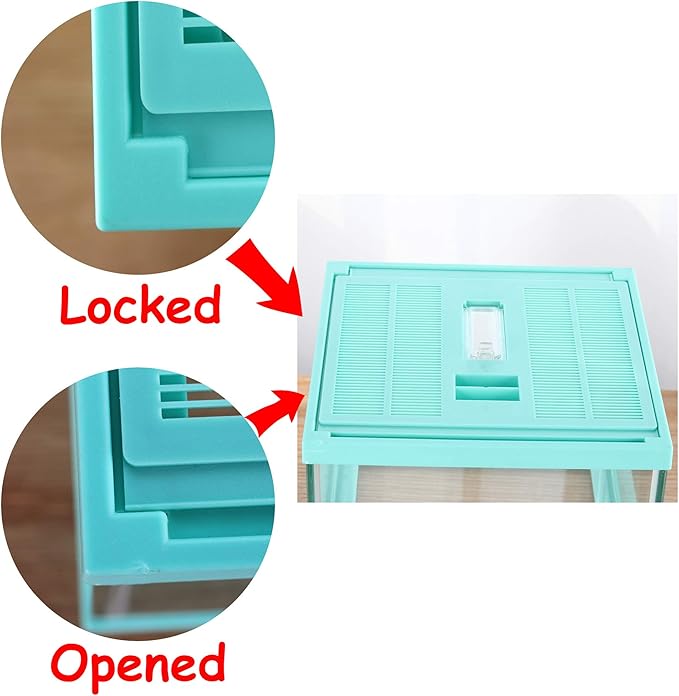 crapelles Reptile Terrarium Tank, Snail Jumping Spider Enclosure, Tarantula Insect Pet Box, Vivarium Tank for Hermit Crab Cricket Gecko Frog, Small Tortoise Habitat Cage (7.8x7.8x5.9 Inches) Green-PawvioPets