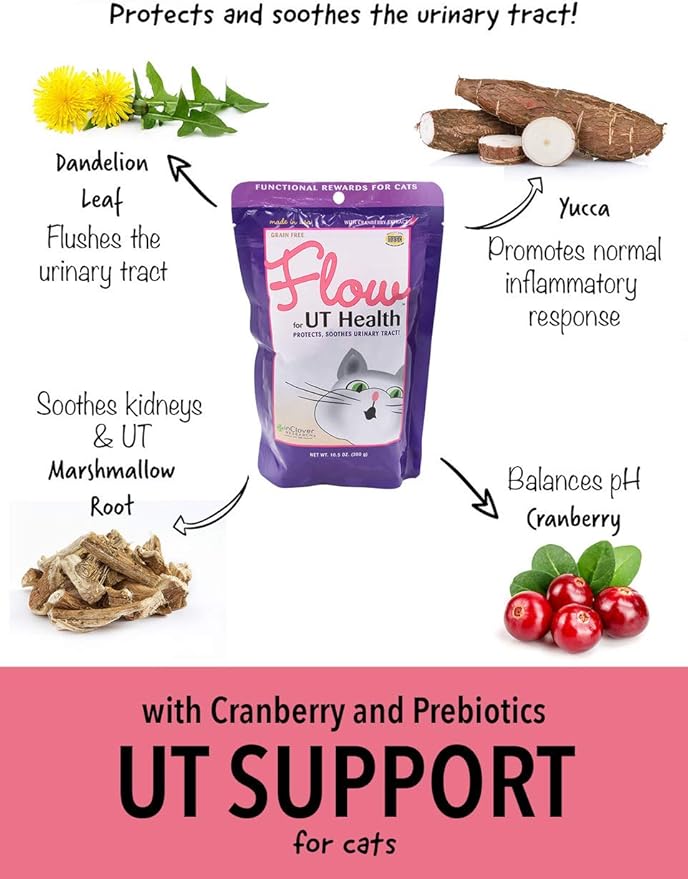 Flow Soft Chews for Daily Support for UT Health in Cats, Scientifically Formulated with Natural Ingredients for a Healthy Urinary Tract. 2.1oz. (60gm)-PawvioPets