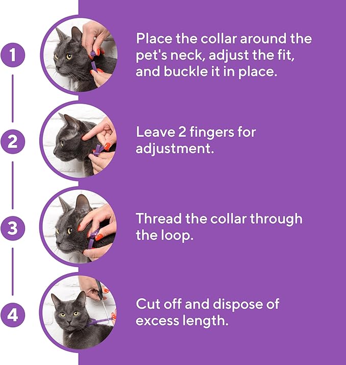 Cat Calming Collar & Pet Anti Anxiety Products - Feline Calm Pheromones Collars & Cats Stress Relief - Helps with Pee, New Zone, Aggression-PawvioPets