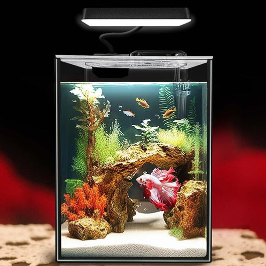 Glass Betta Aquarium Starter Kits 1.5 Gallon Small Fish Tank, Betta Fish Tank with LED Light, Power Filter, Black. 4mm Glass-PawvioPets