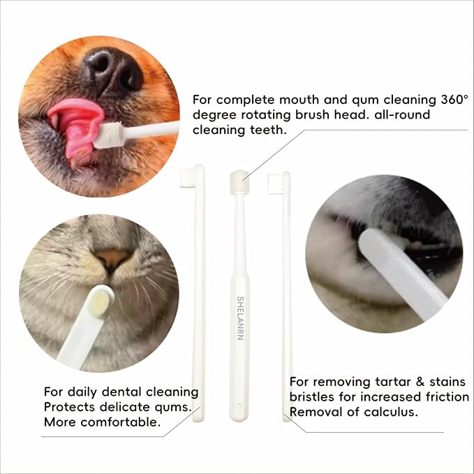 Dental Care for Pets - Dog Tooth Brushing Kit, Dog Toothpaste, Cat Toothbrush kit, Pet chew Toys, Dog Teeth Cleaning, 5 in 1 KIT for Large and Small Pets, Pets are Durable in Use !-PawvioPets