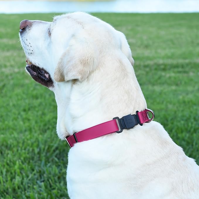 Dogline Biothane Waterproof Dog Collar with Herm Sprenger Black Stainless Steel Quick Release Buckle – Heavy Duty Tactical Durable Collar for Dogs – Comfortable and Safe Pet Collar W1 L15-25 Magenta-PawvioPets