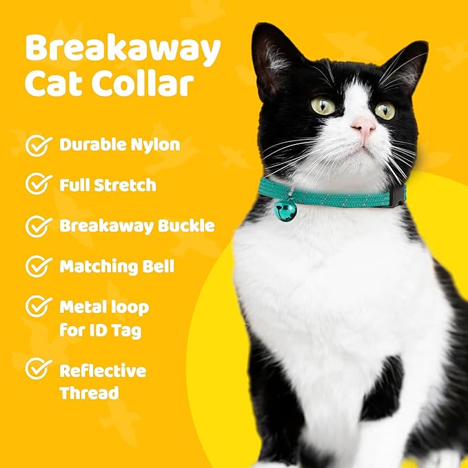 BirdsBeSafe® Break Away Cat Collar with Bell, Reflective Thread for Night Visibility, Comfortable Elastic Stretch Cat Collar to Protect Cat from Getting Stuck in The Garden.-PawvioPets
