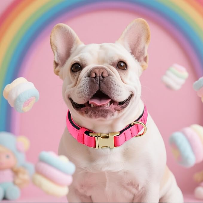 Didog Soft Padded Dog Collars for Medium Dogs, Colorful and Durable Dog Collar with Quick Release Buckle, Light and Breathable for Daily Walking, Pink, M-PawvioPets