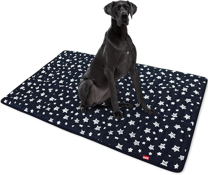 Dog Crate Mat (48" X 30"), Soft Dog Bed Mat with Cute Prints, Personalized Crate Pad, Anti-Slip Bottom, Machine Washable Kennel Pad, Black-PawvioPets