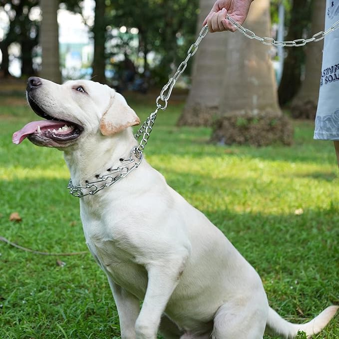 15 ft Dog Chains for Outside - Heavy Duty Tie Out Chain Leash Great for Small to Large Dogs Up to 200Lbs - Chew Proof Long Chain for Yard Camping or Travel (15ft Without Spring)-PawvioPets