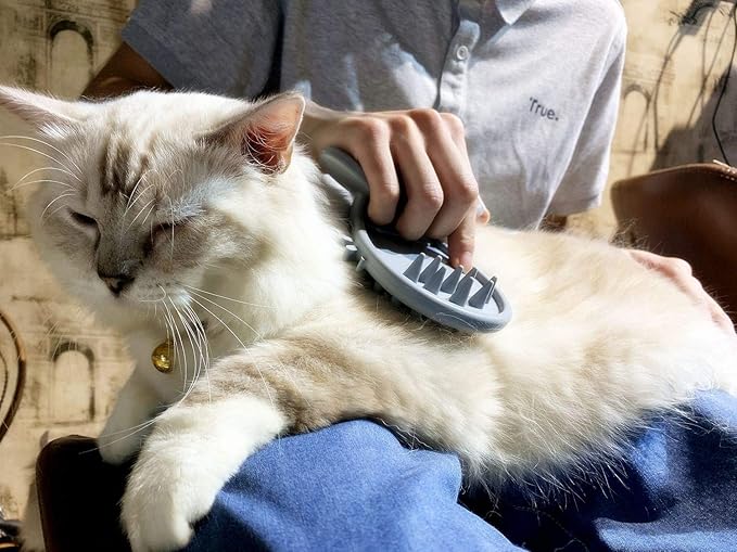 Cat Brush Shedding Grooming, Soft Massage Cat Tongue Brush, Licking Your Cat Like a Mama Cat to Comfort, Surprise Pet Gifts-PawvioPets