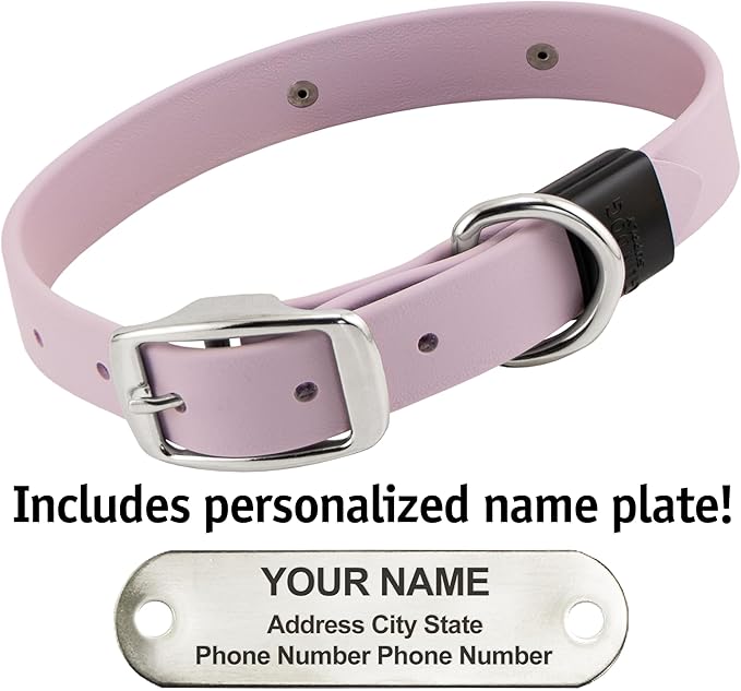 Biothane Custom Dog Collar – Waterproof, Stink-Proof Personalized Collar with Name & Phone Number – Durable, Many Sizes and Colors – Assembled in USA (Lilac Purple)-PawvioPets