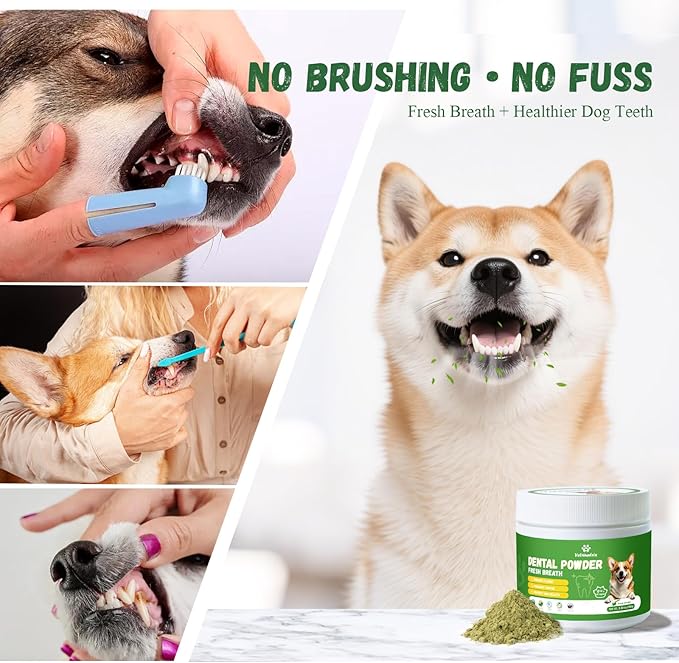 Dog Dental Care Powder - Plaque & Tartar Control with Natural Enzymes, Teeth Cleaning Powder for Dogs with Probiotic, Bad Breath Treatment for Small Medium Large Dogs-PawvioPets