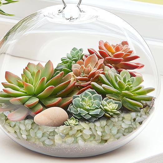 2.5 lbs Jade Pebbles for Indoor Plants, 1/5 Inch Succulent and Cactus Pebbles, Decorative Gravel for Vases, Bamboo,Terrarium, Crafts, Cactus-PawvioPets