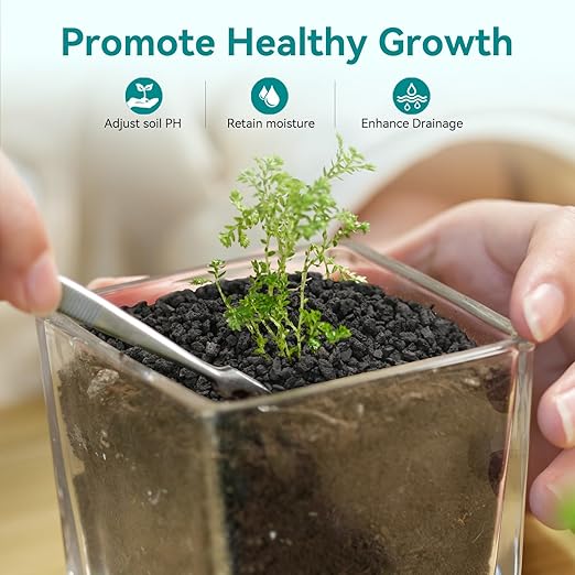 2.5lbs Small Lava Rocks for Plants Drainage, 1/5 Inch Black Gravel Mulch for House Plants, Succulent Rocks Pebbles for Planters,Cactus, Bonsai Tree, Pure Volcanic Rocks, Top-Dressing-PawvioPets