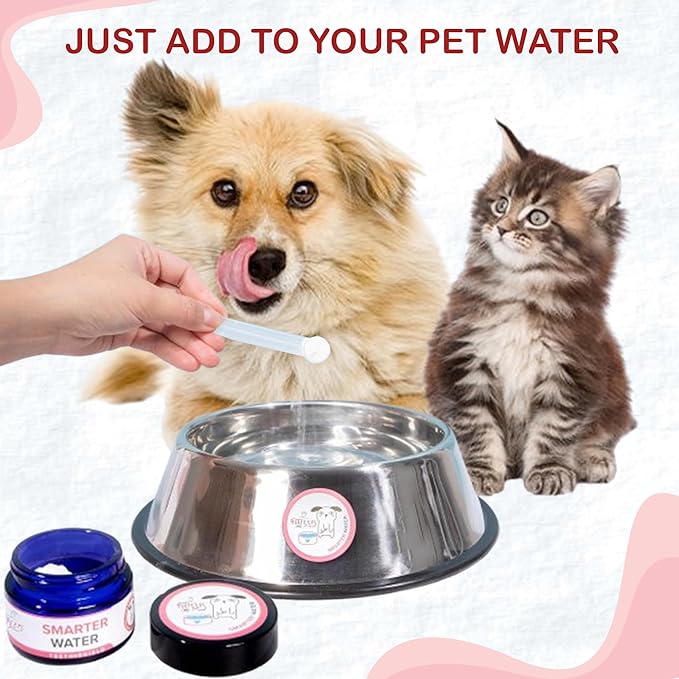 Dog Breath Freshener Powder for Water – Cat & Dog Dental Care Water Additive, Natural Plaque & Tartar Remover, Bad Breath Eliminator, Easy No-Brush Oral Hygiene – 45 Servings, Vet Recommended-PawvioPets