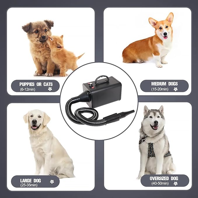 2400w 75m/s Dog Dryer for Pet Grooming, High Velocity Pet Hair Dryer with Heater, Adjustable Speed, 4 Nozzles and a Comb, Black-PawvioPets