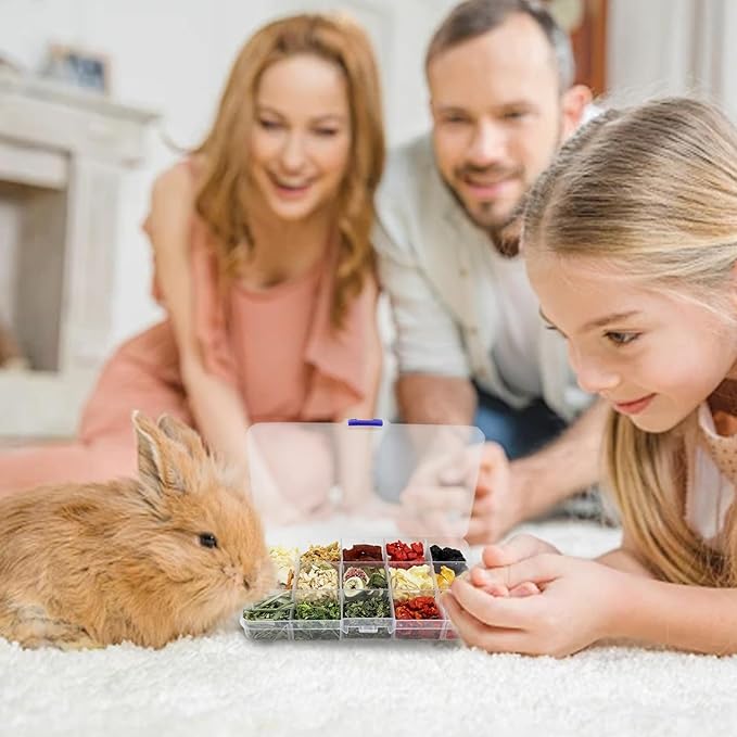 Bunny Treats, Treat Box with 15 Kind of Snacks for Rabbit, Hamster, Chinchilla, Guinea Pig and Other Small Pets, Chinchilla Treats, Guinea Pig Treats, Hamster Treats-PawvioPets