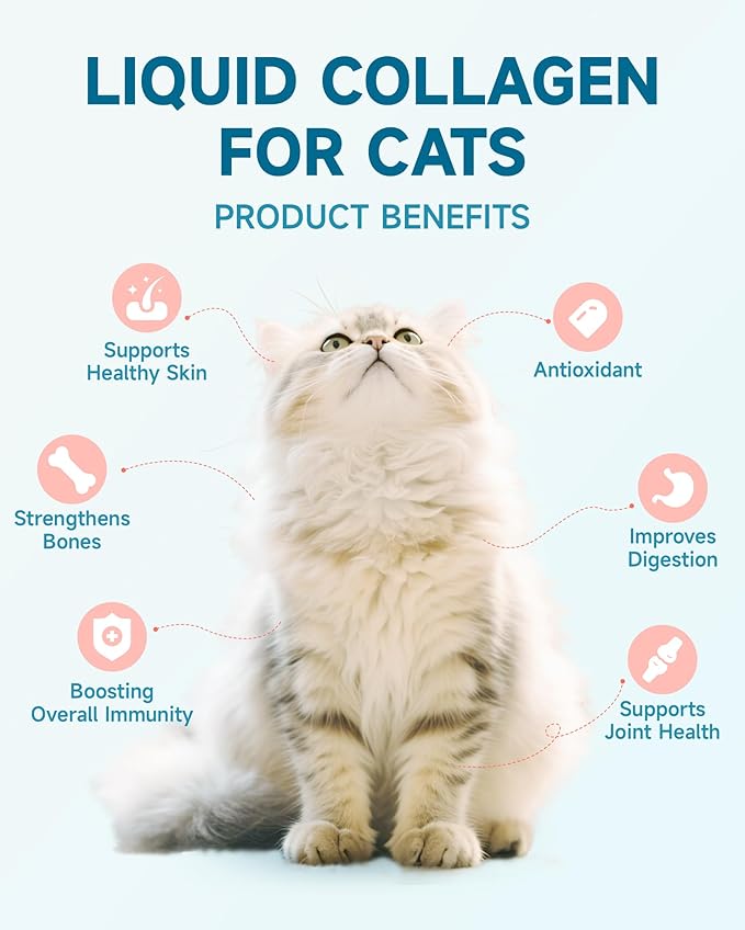 Collagen for Cats - Hip and Joint Supplement, Digestive & Immunity Support, Skin & Coat Health, Liquid Collagen for Cats with MSM, Glucosamine, Coconut Oil, Vitamin E, Roast Chicken Flavored, 60ml-PawvioPets
