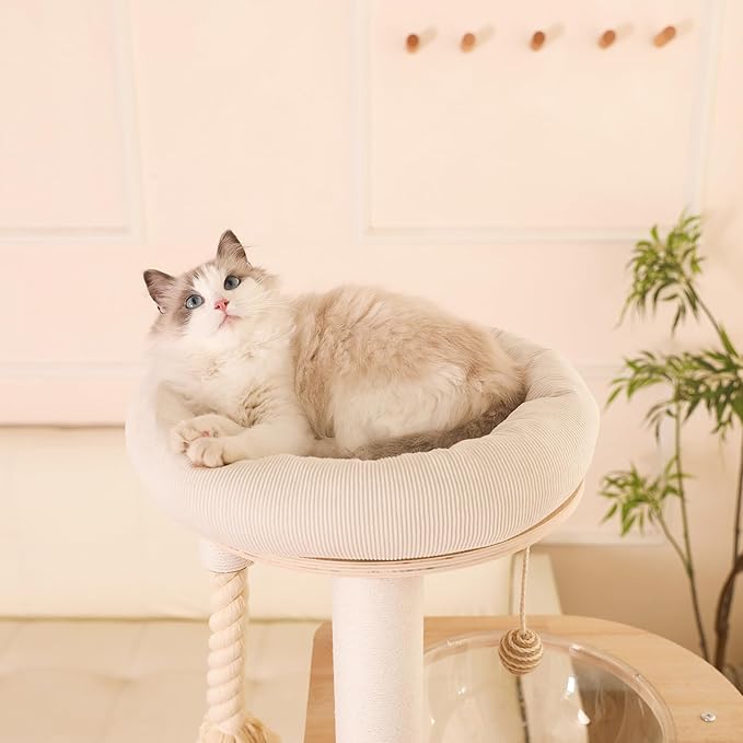 59" Modern Cat Tree Multi-Level Large Cat Tower Heavy Duty Cat Tree with Hammock,Cotton Scratching Post and Washable Cushions-PawvioPets