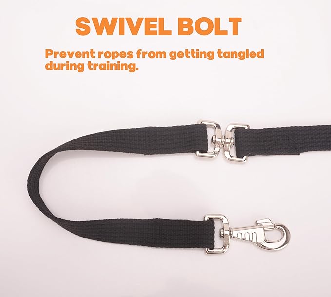 Cord Cotton Lunge Line with Rubber Stop，Equine Lunge Line for Horses with Swivel Bolt Snap，24 ft (Black, 24ft)-PawvioPets