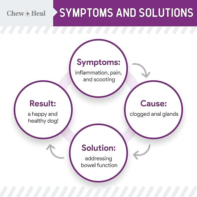 Glands Bowel Support - 14 oz of Stop The Scoot Powder for Scooting, Healthy Anal Glands, and Digestive Health - Made with Pumpkin Powder for Dogs-PawvioPets