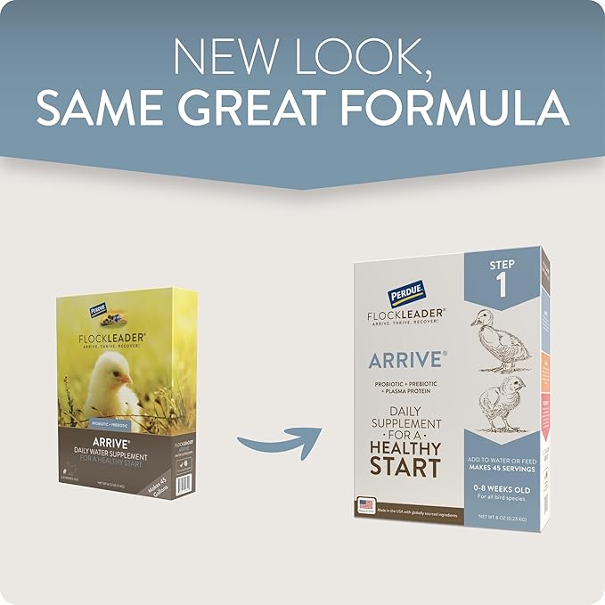 Arrive, Daily Probiotic & Prebiotic Poultry Supplement for Young Chickens 0-8 Weeks Old, 8 oz-PawvioPets