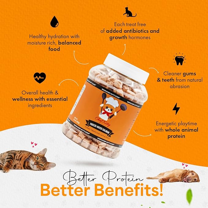 Freeze-Dried Salmon Treats for Cats & Dogs – 100% Wild Caught, Single Ingredient, High-Protein, Healthy Snack – No Additives or Preservatives – 2.6oz - Inspected & Tested in USA-PawvioPets