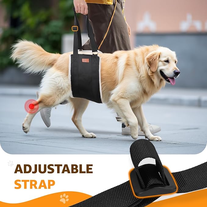 Adjustable Dog Lift Harness, Dog Sling for Large Dogs Lift Support and Rehab Harness for Weak Rear Legs, Soft Hind Leg Support Helps Senior, Injured,Disabled and After ACL Surgery Dogs(Black,X-Large)-PawvioPets