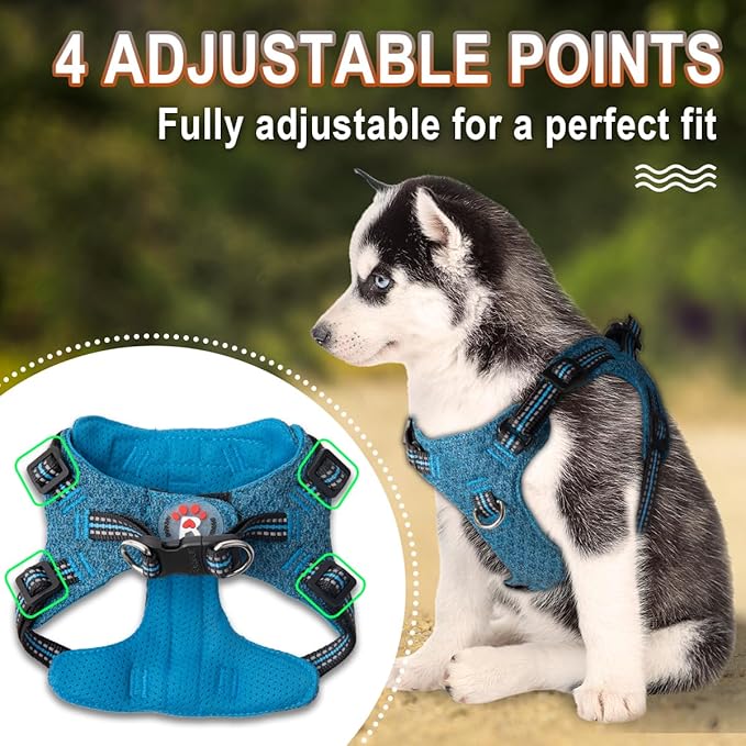 BARKBAY Dog Harness, Reflective Adjustable Step-in Vest Harness, Blue/Black, XXS-PawvioPets