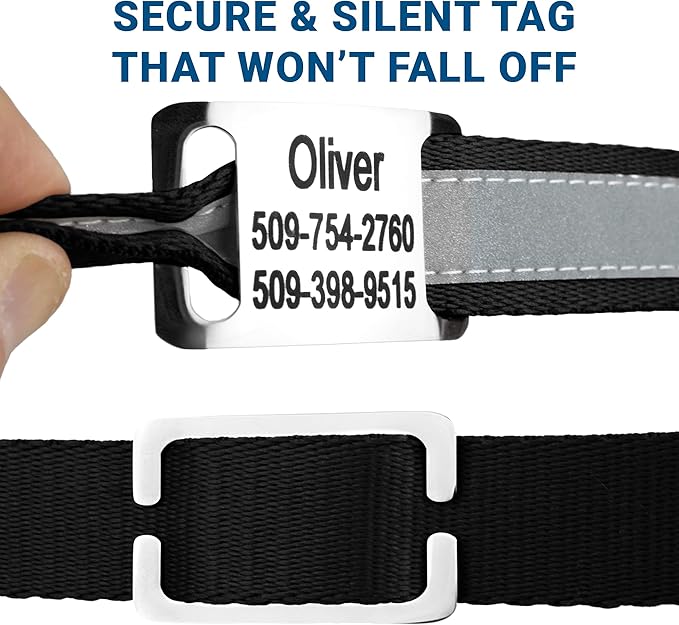 GoTags Reflective Personalized Dog Collar with Nameplate, Adjustable Dog Collar with Custom Engraved Steel Slide On Pet ID Tag, Silent, No Noise Dog Tag for Large Medium or Small (Black, Medium)-PawvioPets