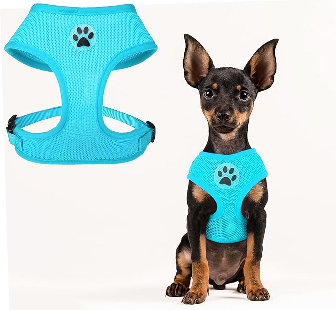 BINGPET No Pull Dog Harness, Soft Mesh Breathable All Weather Vest, Safety Protection Design, Durable Adjustable Step-in Easy Walk Dog Harness for Small Medium Large Dogs (Royal Blue, S)-PawvioPets