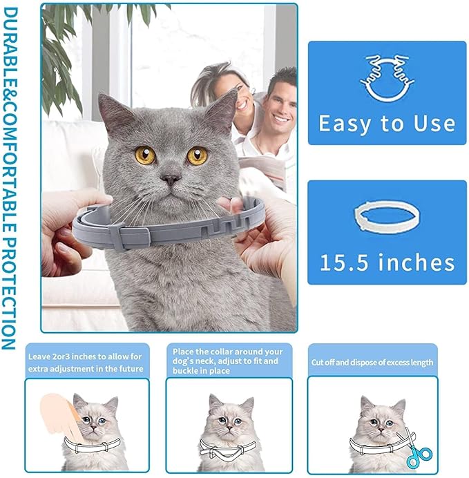 Flea Collar for Cats, Flea and Tick Collars for Cats and Kittens, 8 Month Protection, Gray, 1 Pack CAT-PawvioPets