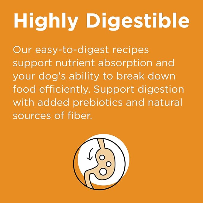 BIXBI Rawbble Dry Dog Food, Chicken, 4 lbs - USA Made with Fresh Meat - No Meat Meal & No Corn, Soy or Wheat - Freeze Dried Raw Coated Dog Food - Minimally Processed for Superior Digestibility-PawvioPets